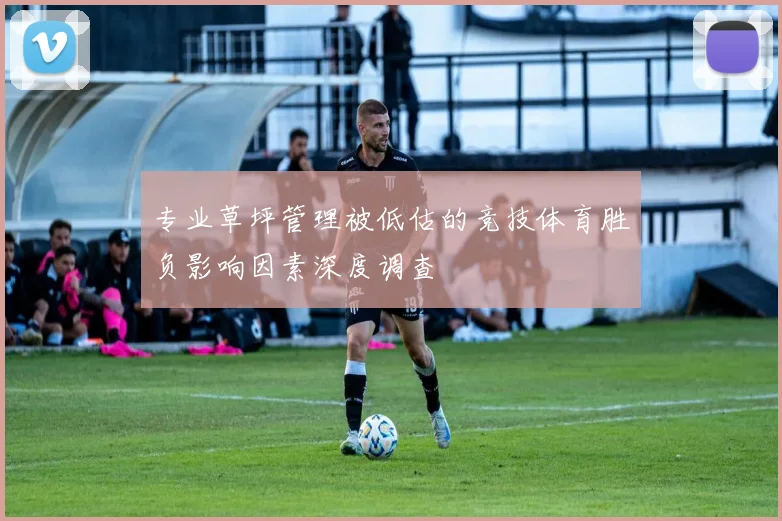 专业草坪管理被低估的竞技体育胜负影响因素深度调查